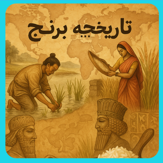 مقاله تاریخچه برنج