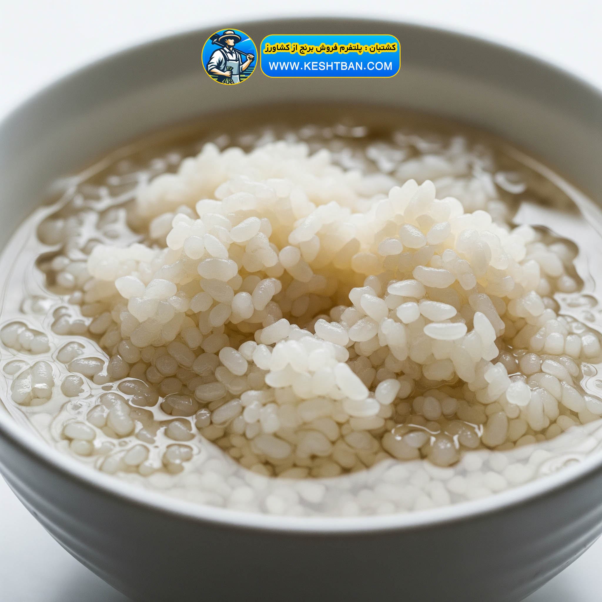 ۱۰ اشتباه رایج هنگام پخت برنج ایرانی (و راهکارهای آن)